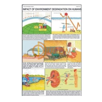 Impact of Environment Degradation on Humans Chart