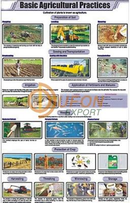 Basic Agricultural Practices