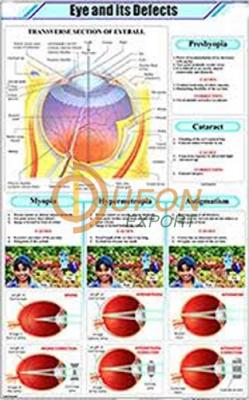 Eye and its Defects