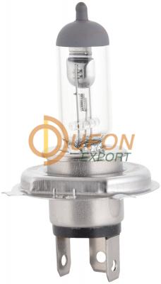 Halogen Head Light