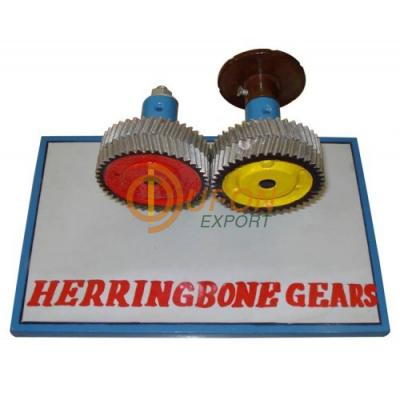 Herring Bone Gear