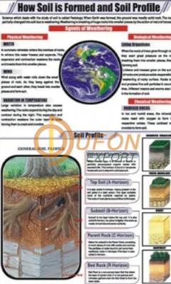 How Soil is formed and soil profile