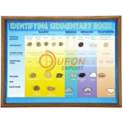 Identifying Sedimentary Rocks