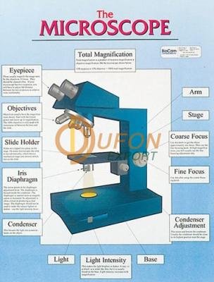 Microscope