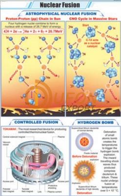 Nuclear Fusion