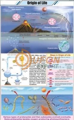 Origin of Life