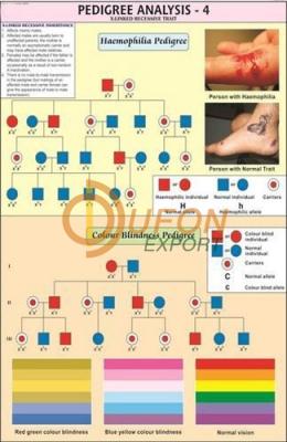 Pedigree Analysis - 4