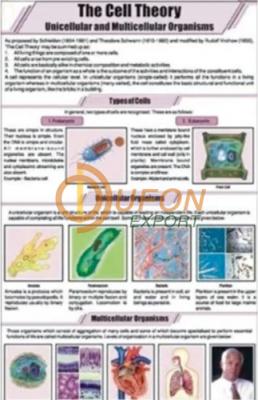 The Cell Theory