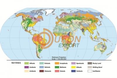 World Types of Soil